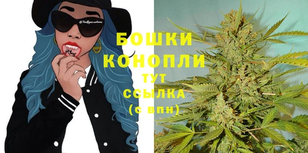 дмт Касимов