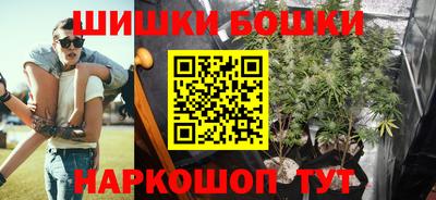 крисы Коммунар