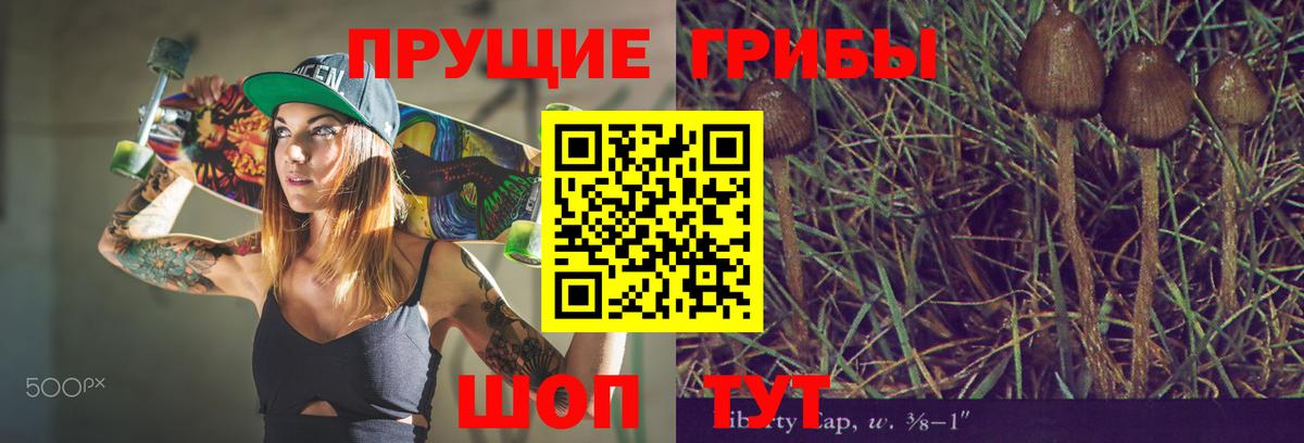 Псилоцибиновые грибы мицелий  продажа наркотиков  Фурманов 